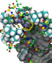 Coupling experiments to theory to build a better battery