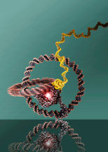 Winzige Nanomaschine absolviert erfolgreich Probefahrt
