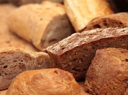 Verband Deutscher Großbäckereien