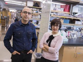 Liver-on-a-chip, the ideal test environment for CRISPR