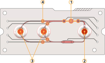 Verbot für viele Tierversuche absehbar: Multiorgan-Chip ausgezeichnet