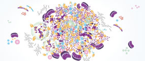 Neuronal Parkinson inclusions are different than expected