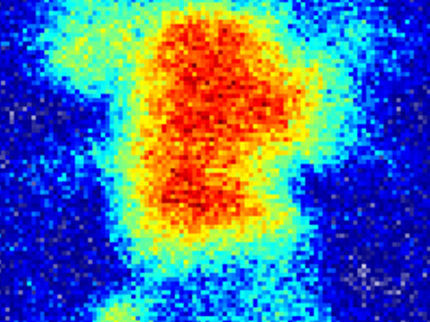 Künstliche Intelligenz erkennt Quantenphasenübergänge
