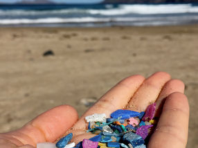 Keine Chance für umweltentlastende Plastik-Zersetzung durch Bakterien