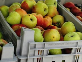 Bio-Apfelsaft gibt’s jetzt mit Artenschutz-Plus