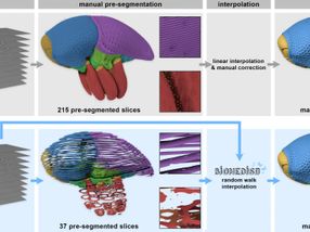 Biomedizin: viele Bilder – weniger Rätsel