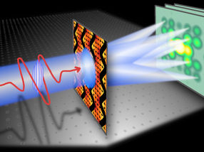 Iluminando la dinámica de la nanoescala