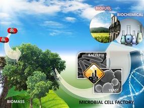 Biodiesel hecho de cajas de cartón desechadas