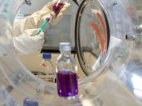 RNA-Grundbaustein erstmalig biokatalytisch hergestellt