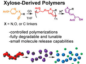Abbaubare Polymere auf Zuckerbasis als Speicher für nützliche Frachtmoleküle