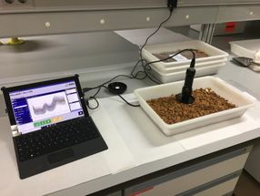 Neue Technologie zur Erkennung von Bittermandeln in Echtzeit