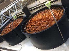 Aquakulturen ohne Mikroplastik