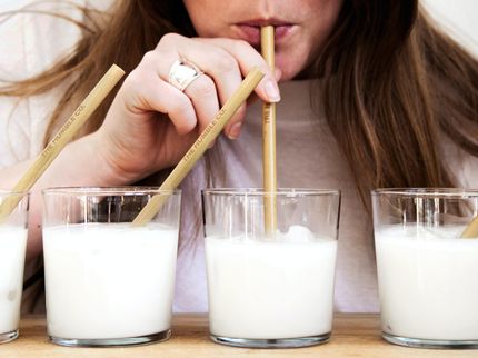 Gusto, salud y ecología