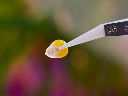 Novel seed treatment technology is reducing the need for synthetic fertilizers