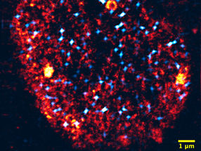 Cómo las células eligen correctamente los genes activos