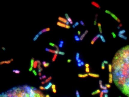 La nueva empresa Trince recauda 4 millones de euros para una tecnología innovadora que permite producir terapias personalizadas contra el cáncer de forma más segura, barata y rápida