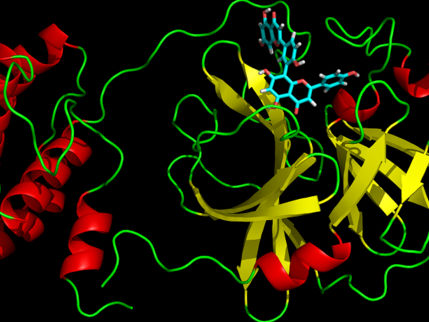 Virtuelles Screening entdeckt Naturstoffe, die die Hauptprotease des SARS-CoV-2-Virus hemmen