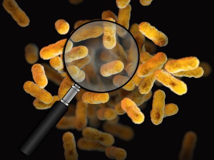 New drug candidates identified in bacteria