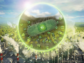 Las bacterias transforman los residuos de carbono en valiosos productos químicos