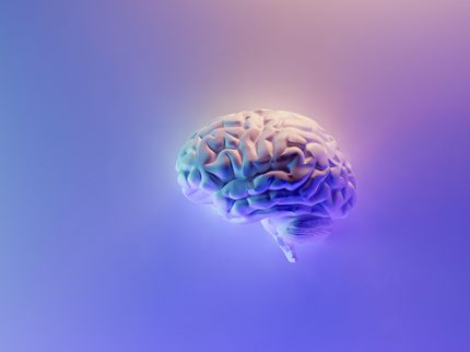 Más alcohol, menos cerebro