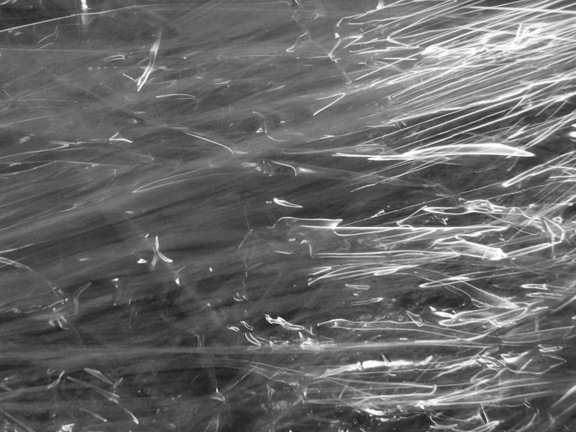 Bild von <a href="https://pixabay.com/de/users/monsterkoi-65294/?utm_source=link-attribution&utm_medium=referral&utm_campaign=image&utm_content=967256" marked="1">Monsterkoi</a> auf <a href="https://pixabay.com/de/?utm_source=link-attribution&utm_medium=referral&utm_campaign=image&utm_content=967256" marked="1">Pixabay</a>
