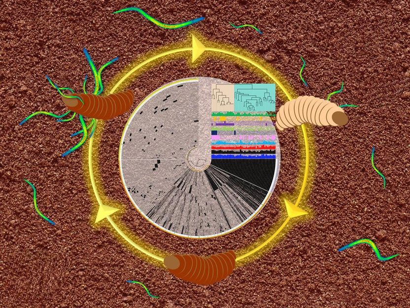 © Max Planck Institute for Terrestrial Microbiology/Shi