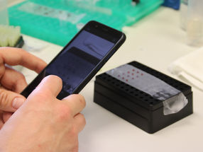 Ein neuer Test nutzt ein Mobiltelefon, um Gluten in Lebensmitteln einfach und schnell nachzuweisen