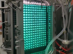 Apprendre de la nature : La biosynthèse de la cyanobactérine ouvre la voie à une nouvelle classe de composés naturels pour des applications en médecine.