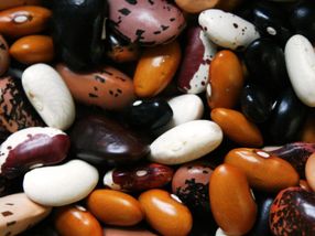 Una dieta vegana rica en legumbres es beneficiosa para reducir el peso, según un nuevo estudio