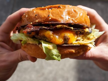 The mere sight of a meal triggers an inflammatory response in the brain