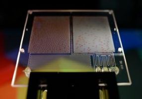 Microfluidic System Capable of Merging, Mixing and Splitting Microdroplets