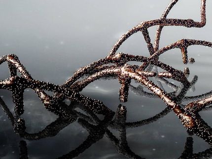 MPI für Biologie des Alterns