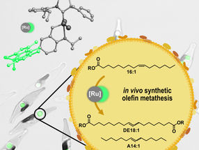 Las algas como biorrefinerías microscópicas