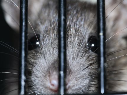 Mehr Forschung für mehr Tierschutz