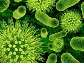 El consumo de algunos alimentos, bebidas y medicamentos alteran el equilibrio de la microbiota intestinal