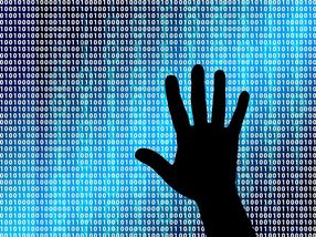 Big data processing enables worldwide bacterial analysis