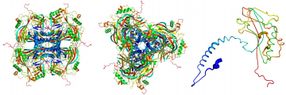 X-ray pulses reveal structure of viral cocoon
