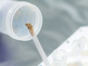 DNA from extinct humans discovered in cave sediments