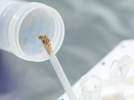 DNA from extinct humans discovered in cave sediments