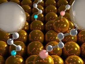 Enzyme und ihre Bewegungen ohne Marker direkt beobachten