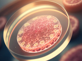 Una nueva tinta de impresión en 3D podría hacer más rentable el cultivo de carne