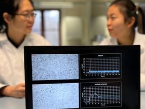 Una toxina bacteriana deja inmóviles a las algas