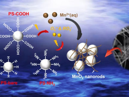 Los nanoplásticos producen inesperadamente especies oxidantes reactivas cuando se exponen a la luz