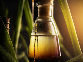 Speeding up sugar's conversion into fuel