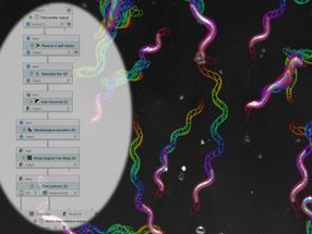 Wissenschaftliche Bildanalyse für jedermann