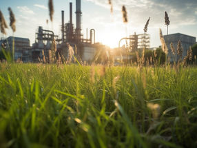 Microbios diminutos podrían aportar grandes beneficios a la biomanufactura ecológica