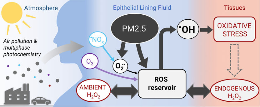 DOI: 10.1039/D2EA00179A
