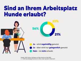 Mit Bürohunden zum Traum-Arbeitgeber der Jungen