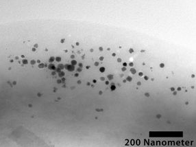 Neue Studie zur genetischen Magnetisierung lebender Bakterien