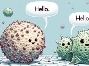How stem cells and immune cells communicate